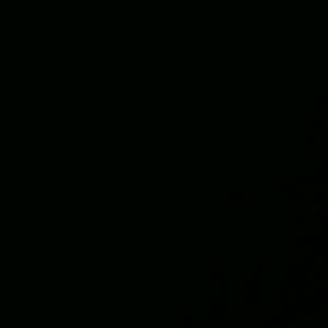 Meet your Posher, Al